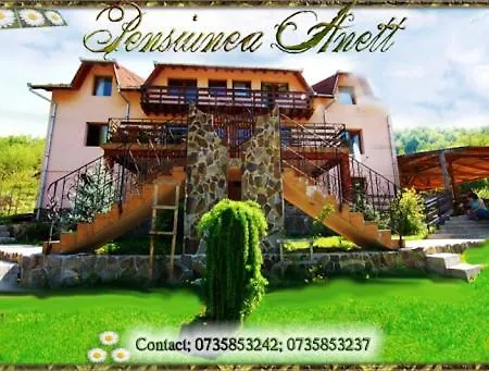 Guest house Anett Pietroasa (Bihor)